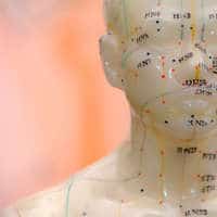 PEMF for Clinics and Spas lifemat PEMF for Clinics and Spas lifemat
